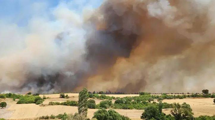 Balıkesir'deki orman yangını kontrol altına alındı - Resim: 6